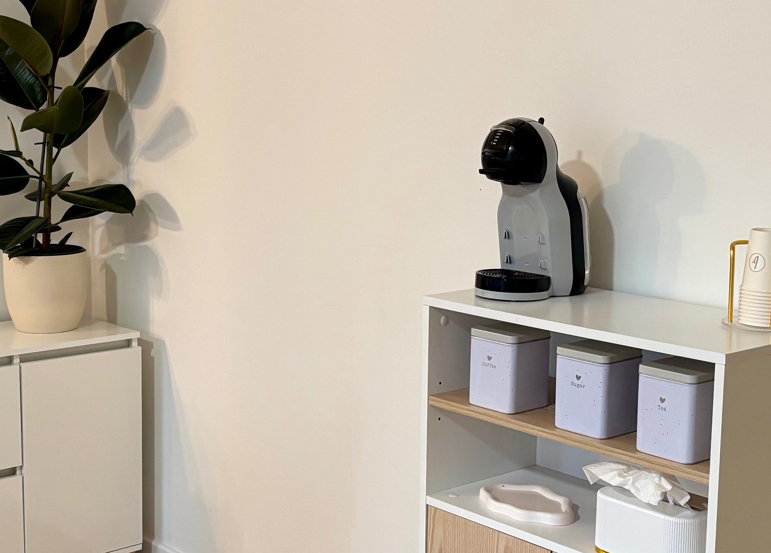 Estante minimalista con planta y cafetera en Beautify, Bootle, England, GB.