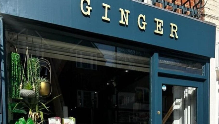 Ginger obrázek 1