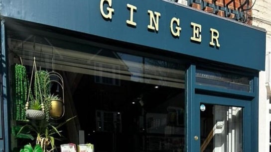 Ginger
