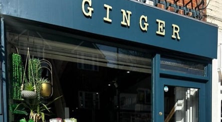 Ginger obrázek 3