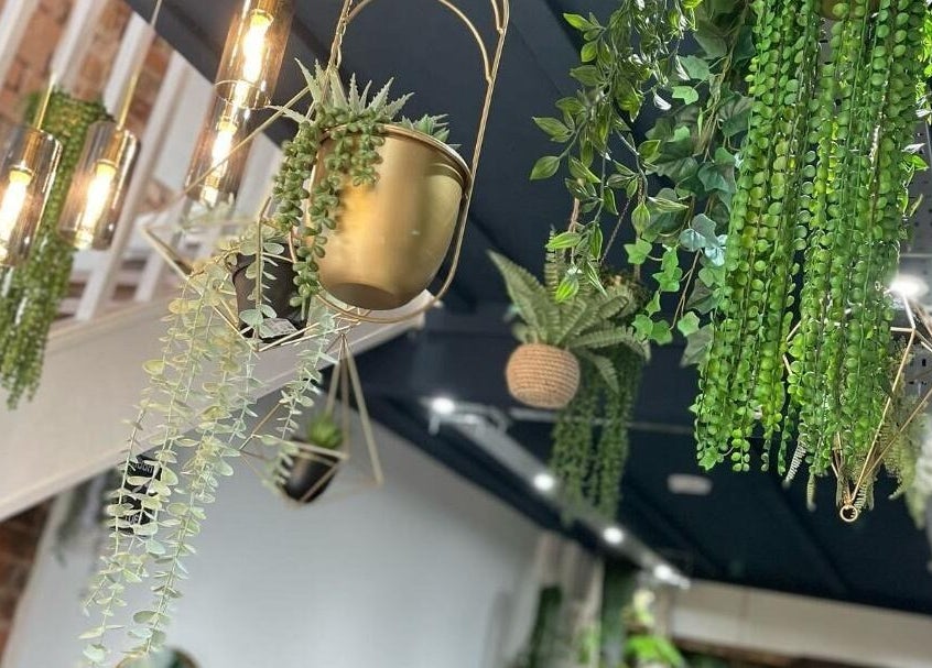 Lush green hanging plants and modern lighting at Salon Pickle, Bromsgrove, England, GB providing a serene ambiance.