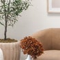 Bodi Therapi - 8 Morkel Road, Mostertsdrift, Stellenbosch, Western Cape
