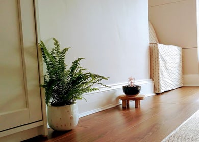 Calm and stylish plant decor at Little Mamma Wellness, Bowburn, England, GB spa.