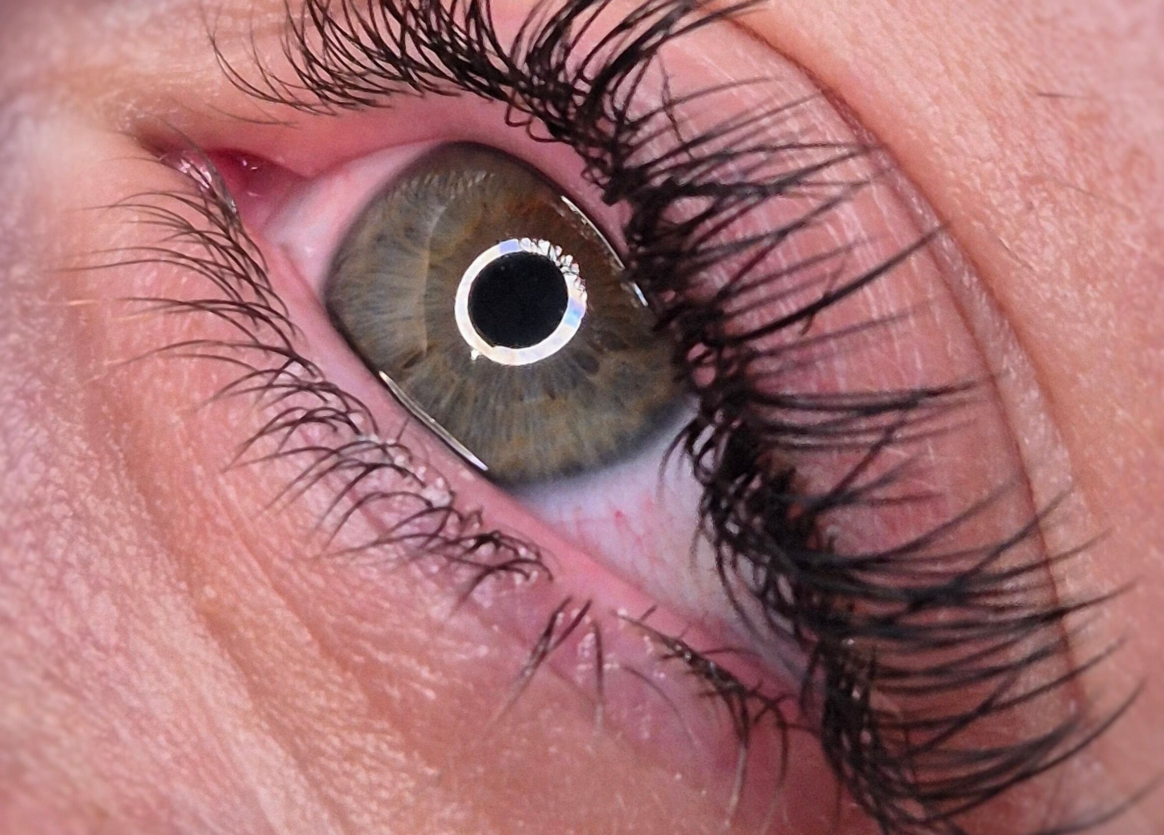 Extension de cils à Institut For Elles Bogève, Bogève, Auvergne-rhône-alpes, FR, pour un regard intense.