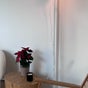 Smilga Beauty Lab - Subačiaus gatvė 23, Vilnius, Vilniaus Apskritis