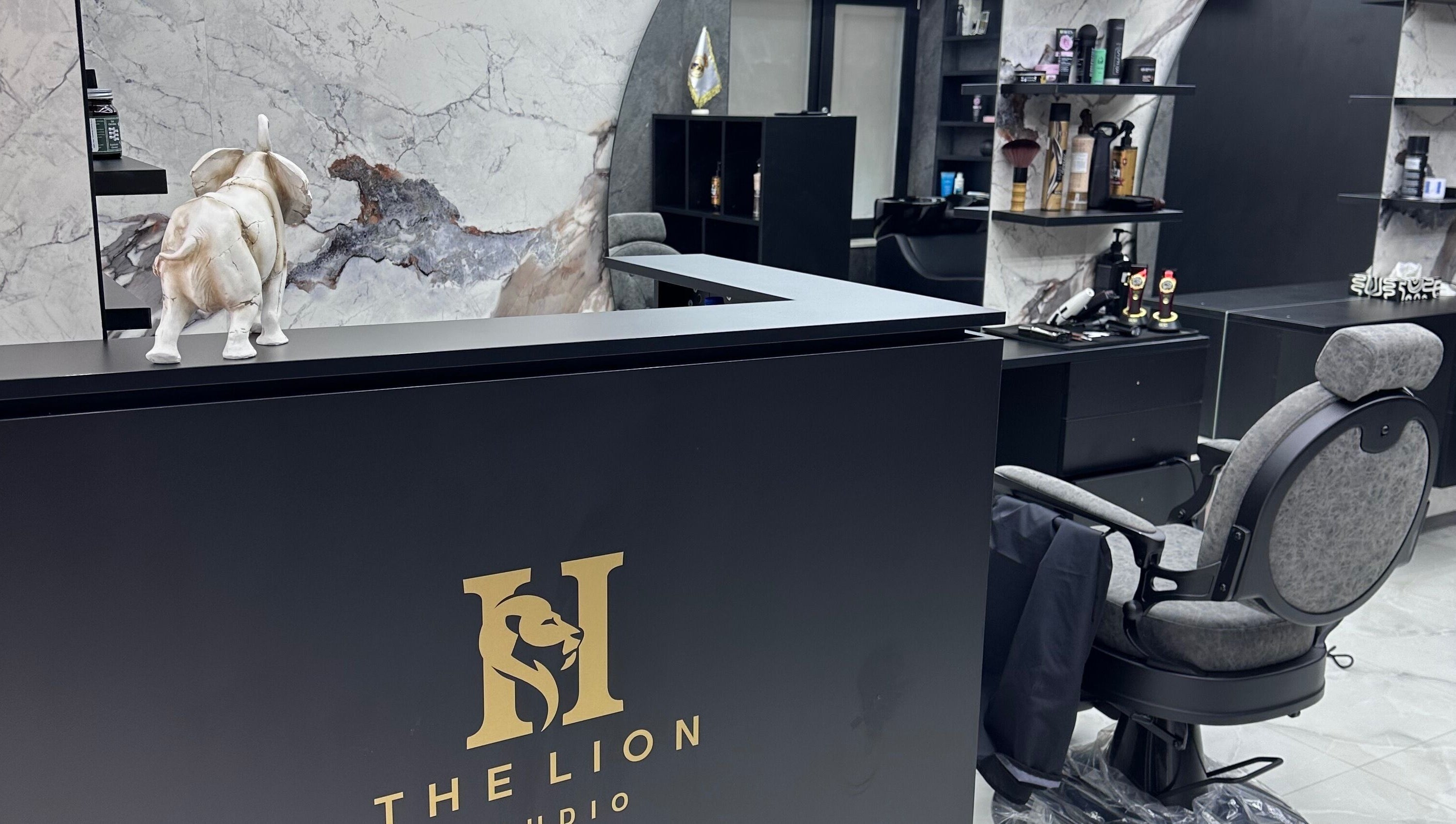 Stylish reception area at The Lion Studio, Sofia, Sofia City Province, BG showcasing modern decor.
