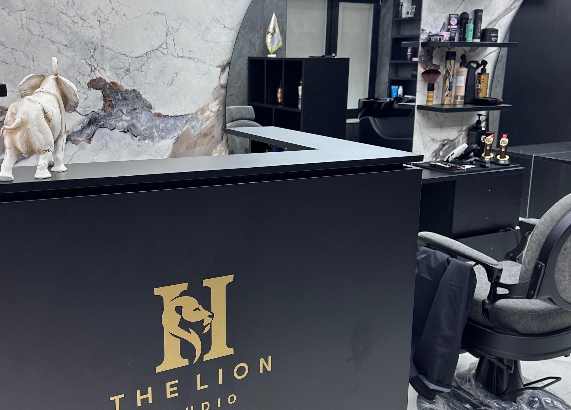 Stylish reception area at The Lion Studio, Sofia, Sofia City Province, BG showcasing modern decor.