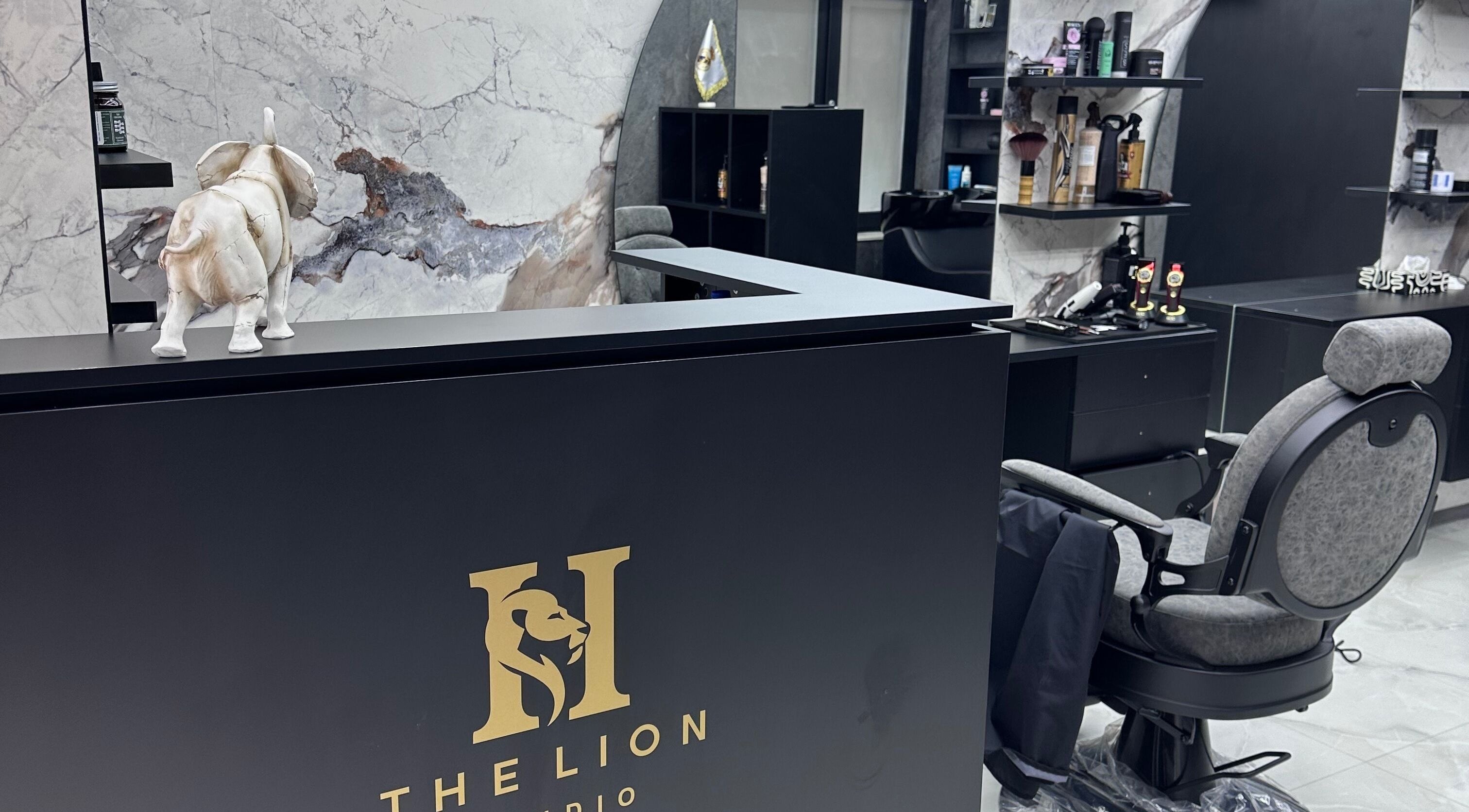 Stylish reception area at The Lion Studio, Sofia, Sofia City Province, BG showcasing modern decor.