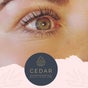 Cedar Beauty