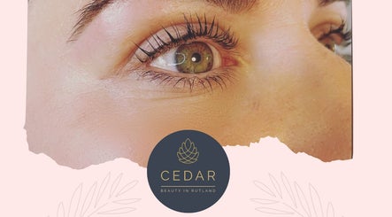 Cedar Beauty