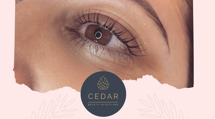 Cedar Beauty image 2
