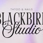 Blackbirdstudio - 21 Rue Ludovic Massé, Canohès, Occitanie
