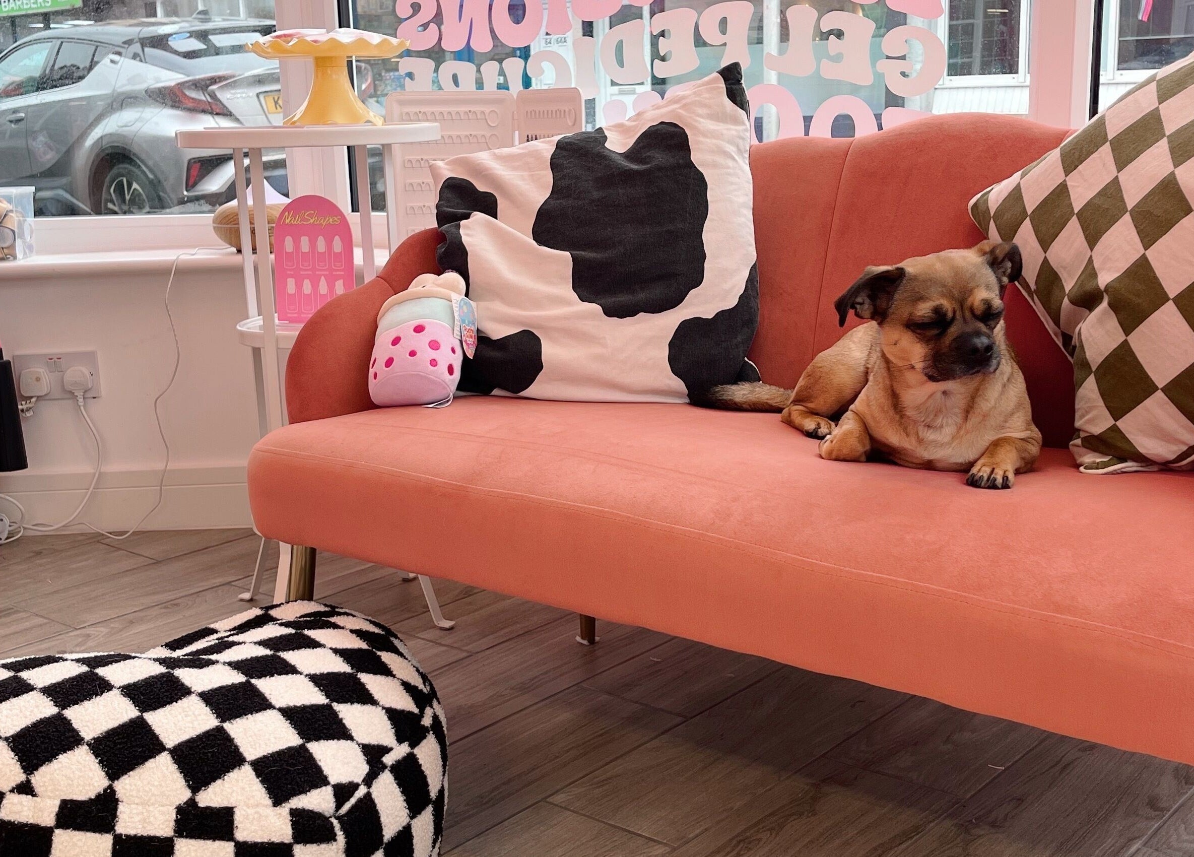 Chic waiting area at Nails With Soph, Eastbourne, England, GB featuring a dog on a stylish pink sofa.