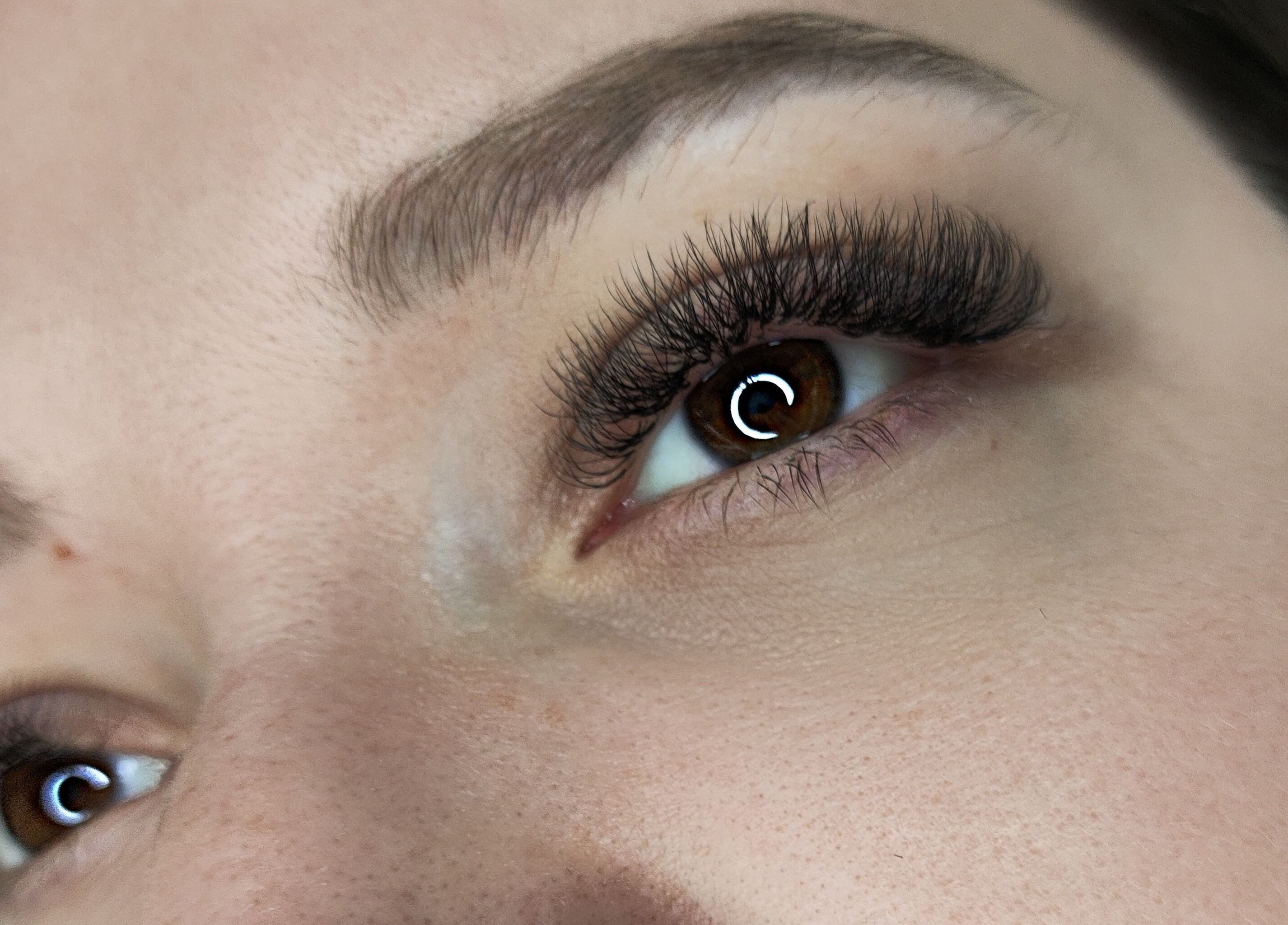 Close-up of elegant eyelash extensions at Irina Titovets • Eyelash Extensions, Lutz, Florida, US.