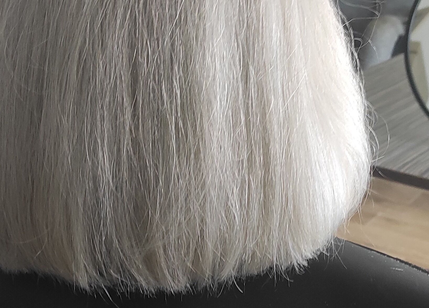 Coupe de cheveux argentés à Nana Studio, Hérin, Hauts-de-france, FR.