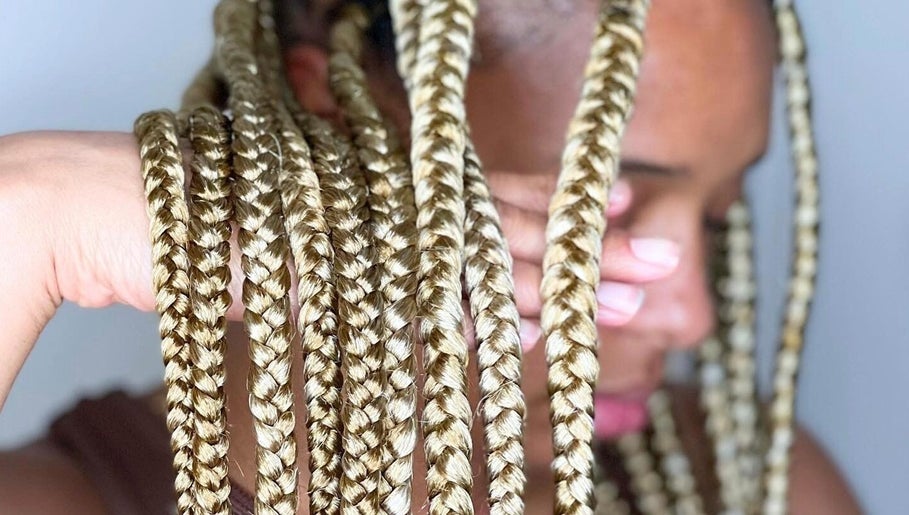 Cher Braids image 1