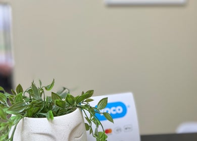 Potted plant on a desk at Dream It Lashes & Beauty By Mel, Cape Town, Western Cape, ZA.