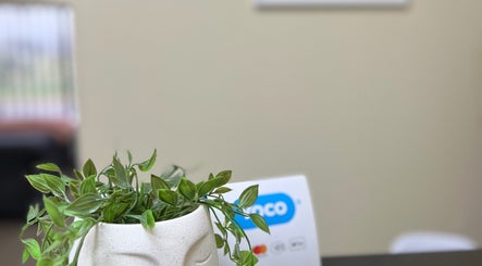 Potted plant on a desk at Dream It Lashes & Beauty By Mel, Cape Town, Western Cape, ZA.