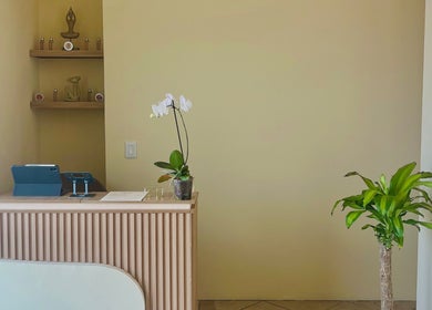 Recepción elegante en Samer Spa, Puerto Vallarta, Jalisco, MX, con orquídea y decoración moderna.