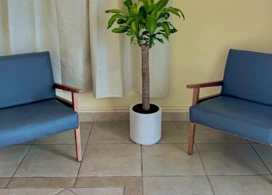 Zona de espera acogedora en Samer Spa, Puerto Vallarta, Jalisco, MX, con sillones y planta decorativa.