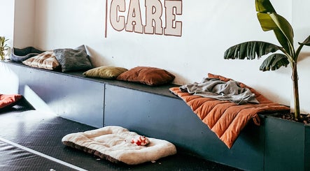 Espaço aconchegante na Pet Care em Ronfe, Braga, PT, com almofadas e plantas.