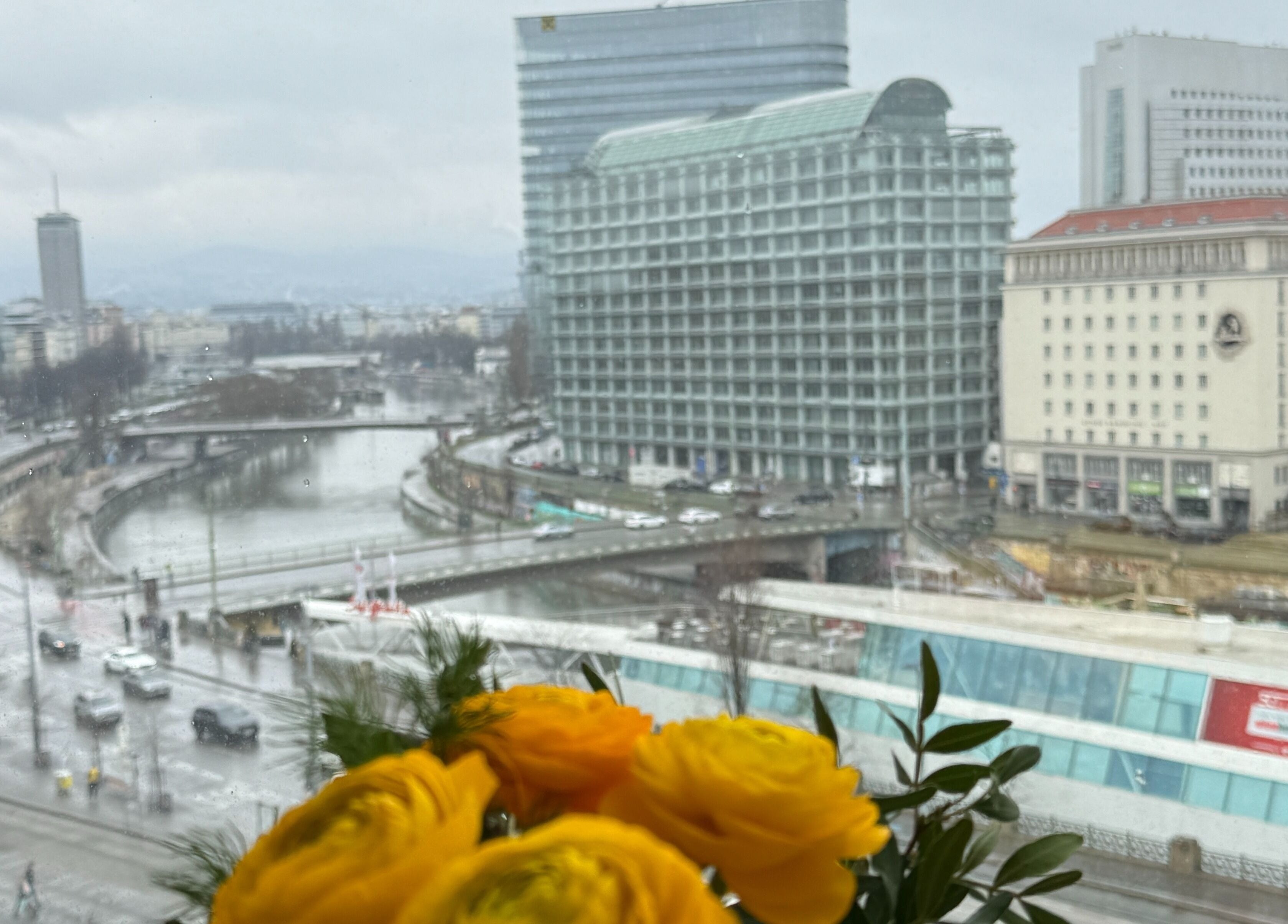Stadtblick von Nailbar Wien, Wien, AT, mit gelben Blumen im Vordergrund an regnerischem Tag.