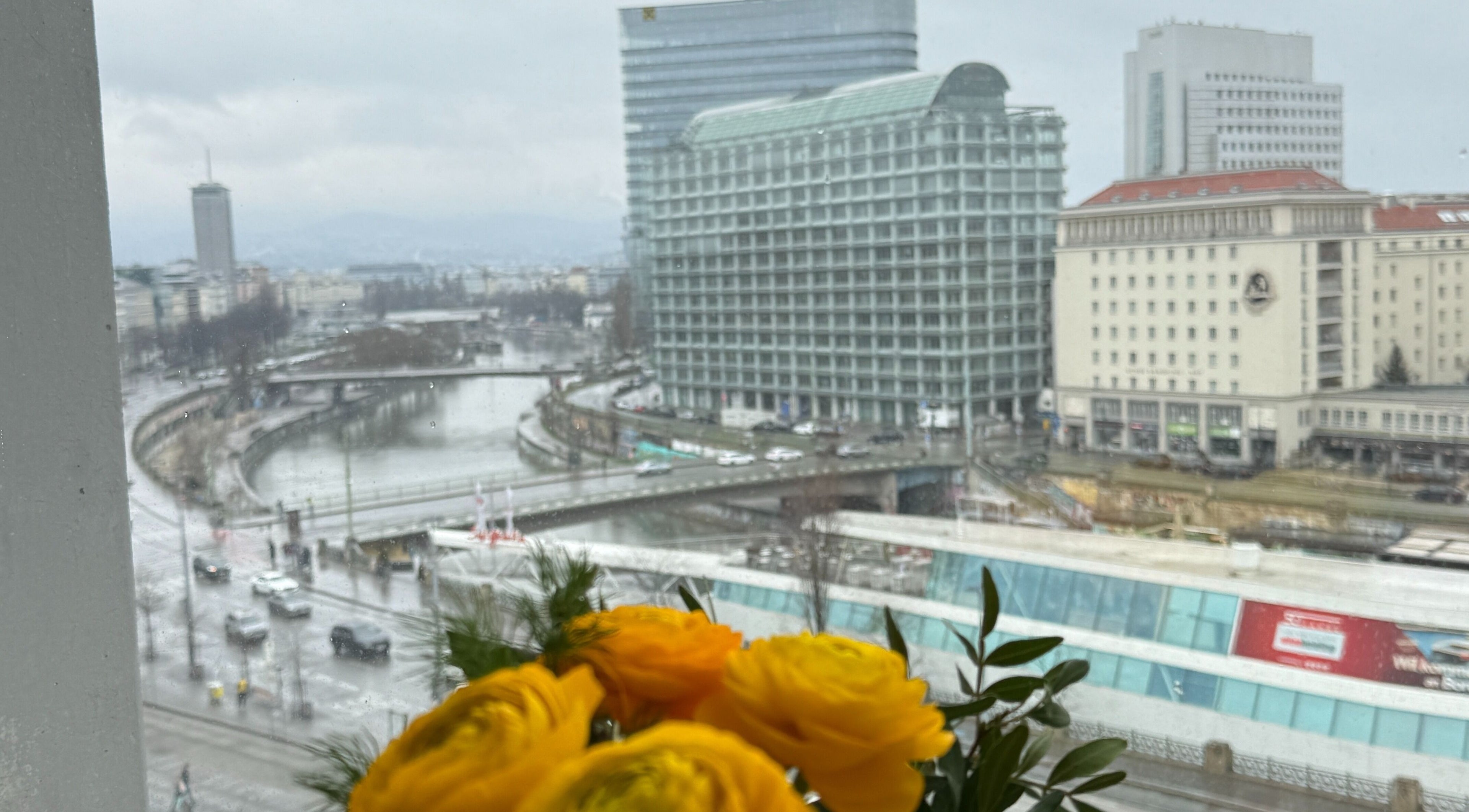 Stadtblick von Nailbar Wien, Wien, AT, mit gelben Blumen im Vordergrund an regnerischem Tag.
