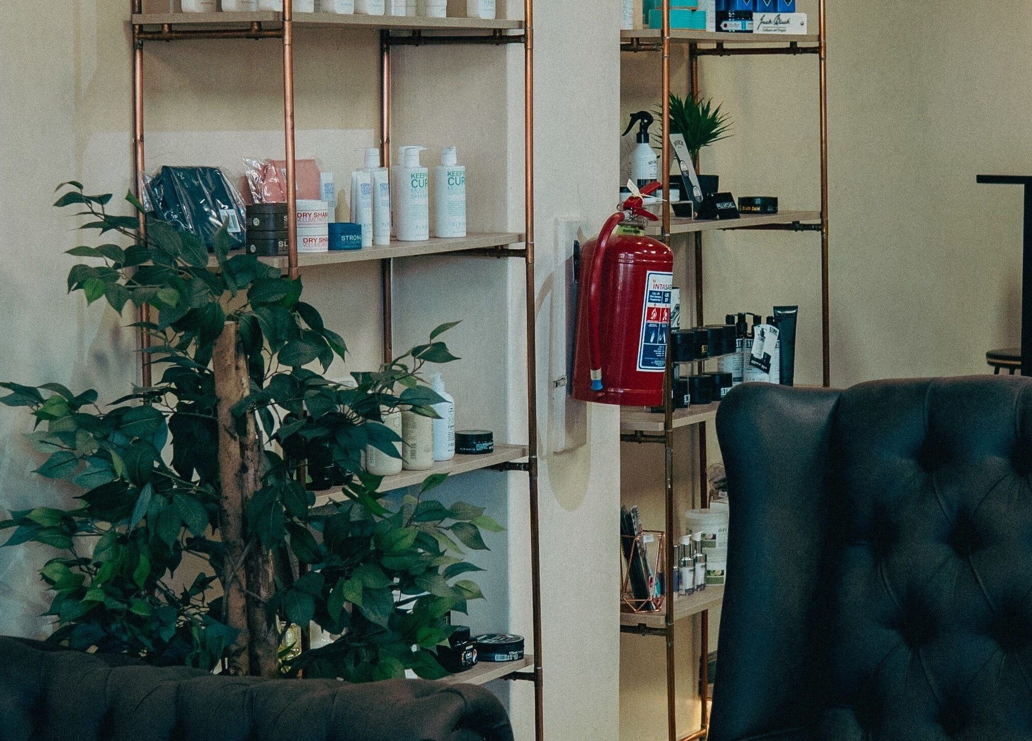 Interior at Blade & Banter Barbershop, Midrand, Gauteng, ZA featuring shelves of grooming products and a lush plant.