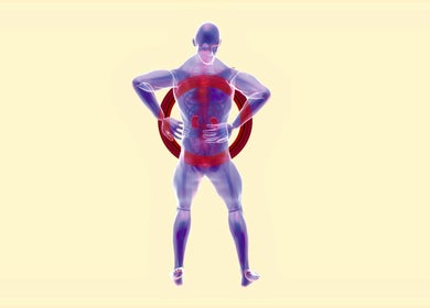 Anatomical figure highlighting spinal care at Sports Care Therapy, London, GB.