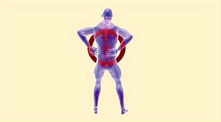 Anatomical figure highlighting spinal care at Sports Care Therapy, London, GB.