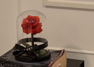 Elegant preserved rose under glass at Lash Society, Surry Hills, New South Wales, AU.