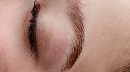 Ltg Lashes image 3