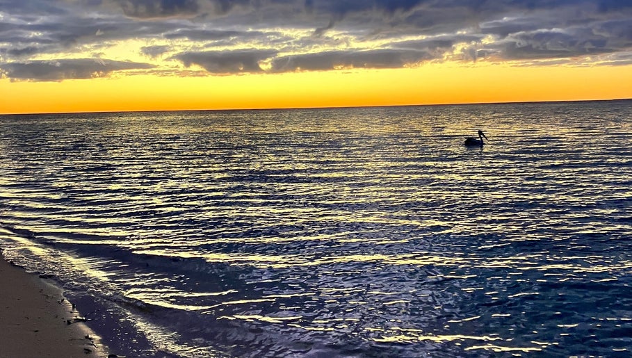 Infinite_Coco_Perth - Intuitive Energy Healing image 1