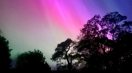 Vibrant aurora lights over trees near Beauty Barn, Catton, England, GB during a serene night.