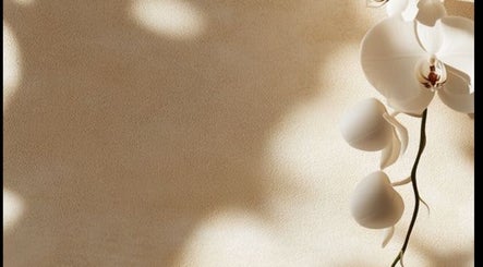 Elegant orchid shadow play at Ziba Beauty.Spa, Las Vegas, Nevada, US. Tranquility and natural beauty intertwined.