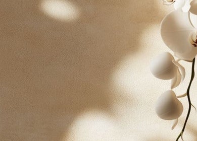 Elegant white orchids casting soft shadows at Ziba Beauty.Spa, Las Vegas, Nevada, US.