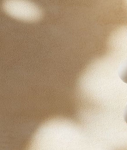 Elegant white orchids casting soft shadows at Ziba Beauty.Spa, Las Vegas, Nevada, US.
