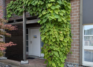 Eingang von Dis Chind und Du - Coaching in Oberuzwil, Sankt Gallen, umgeben von grüner Flora.