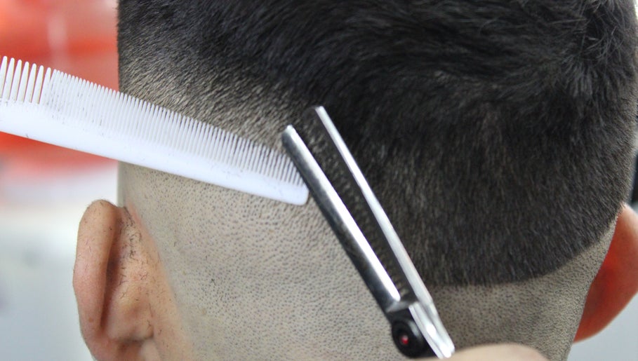 Barberia Zr image 1