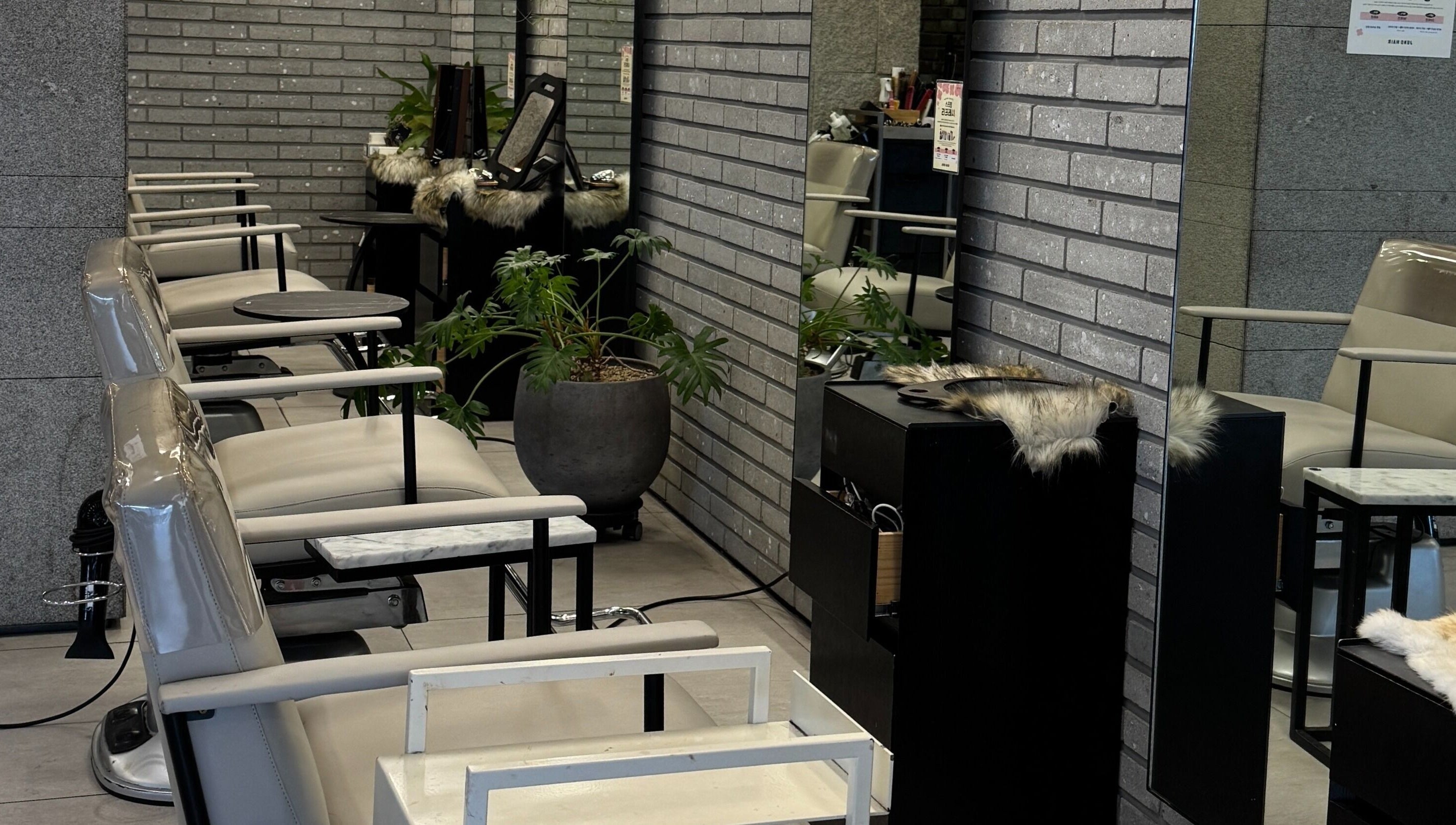 Inside view of 준오헤어 압구정로데오１호점 with modern chairs and plants, located in 서울특별시, 서울특별시, KR.