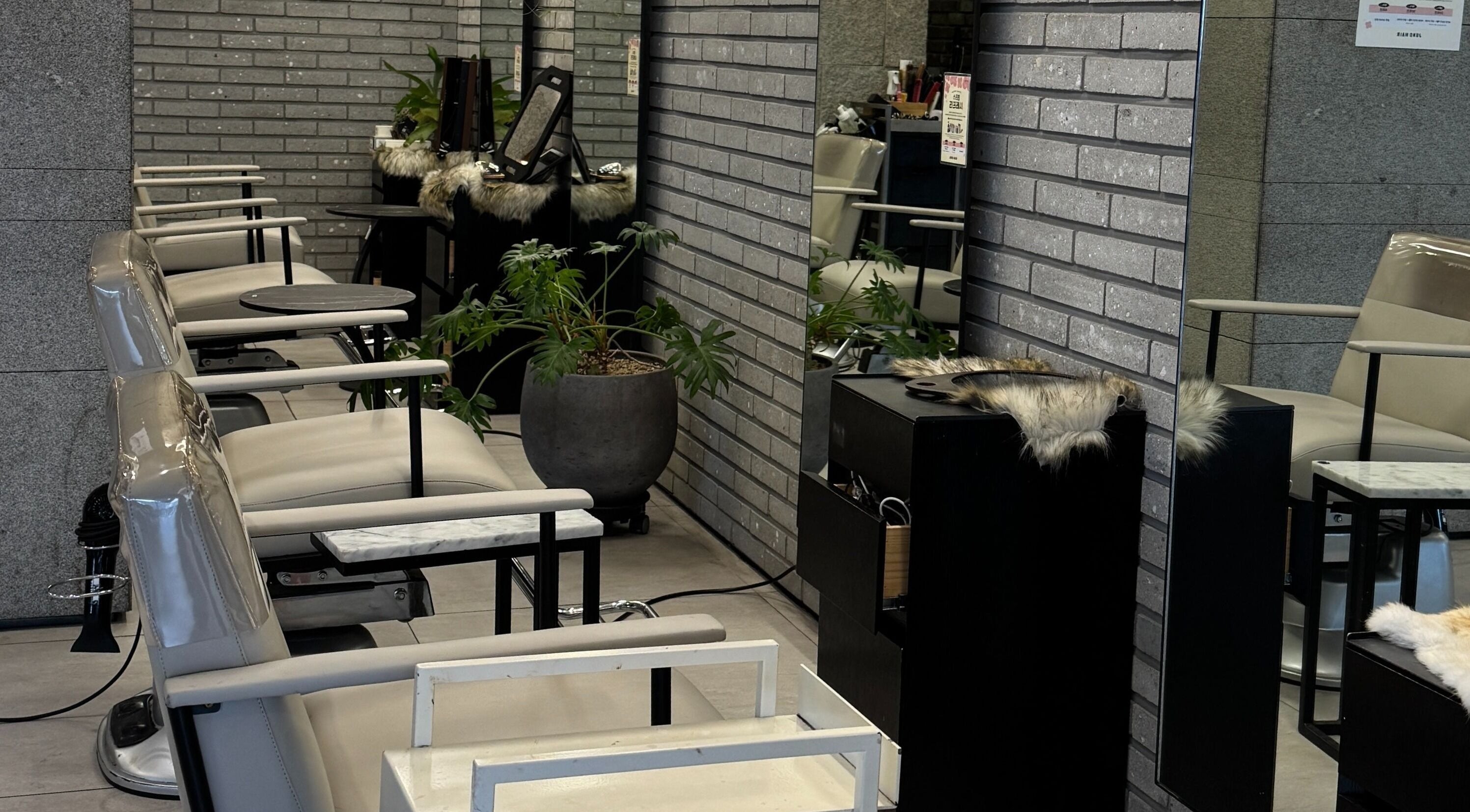 Inside view of 준오헤어 압구정로데오１호점 with modern chairs and plants, located in 서울특별시, 서울특별시, KR.