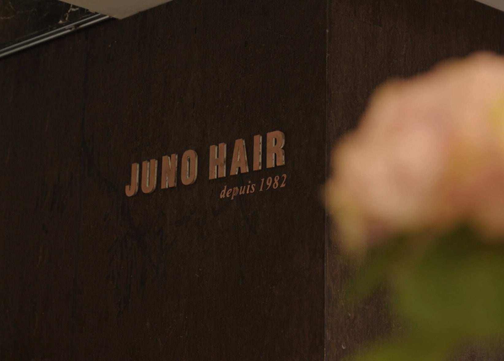 Elegant signage of 준오헤어 압구정로데오１호점, 서울특별시, 서울특별시, KR with blurred flowers in foreground.