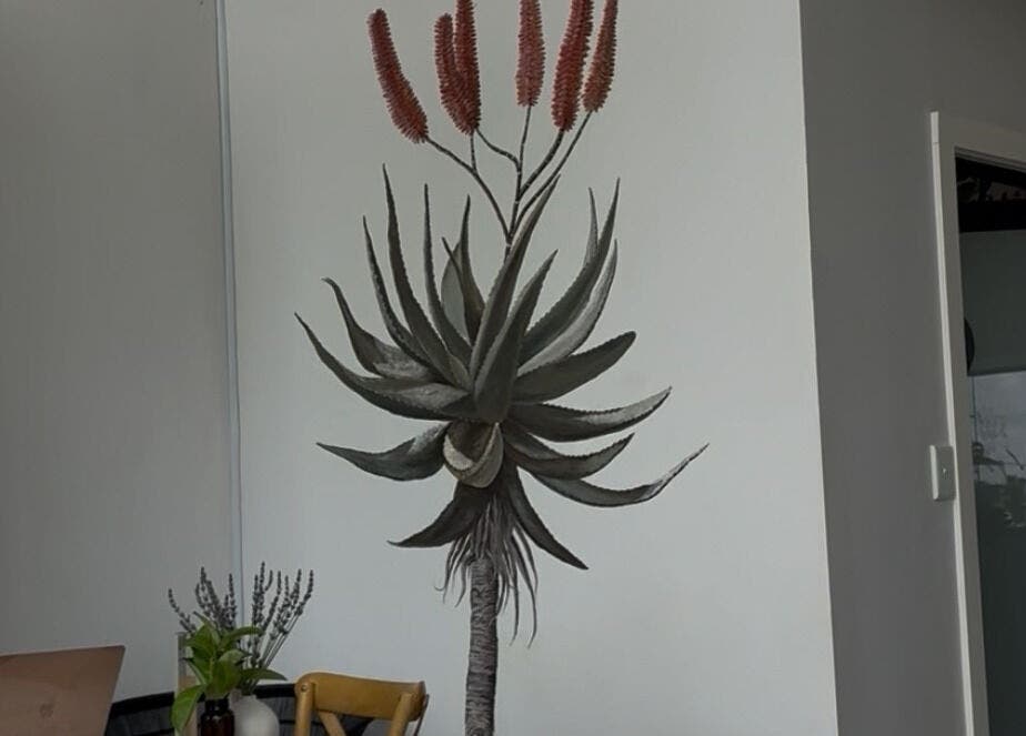 Elegant interior corner plant arrangement at Rovel Beauty Studio Rayton, Rayton, Gauteng, ZA.