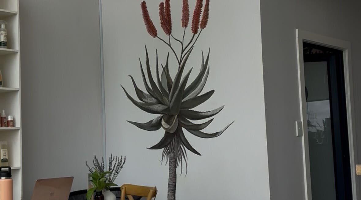 Elegant interior corner plant arrangement at Rovel Beauty Studio Rayton, Rayton, Gauteng, ZA.