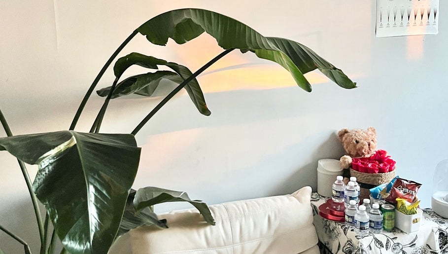 Inviting corner at Killer Rose Lash with lush plant in Arlington, Virginia, US, offering refreshments and decor.