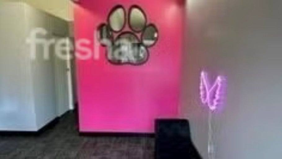 Rose’s Dog Grooming image 1