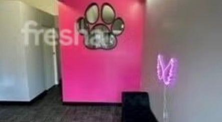 Rose’s Dog Grooming image 2