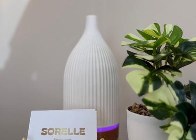 Relaxing ambiance at Sorelle Beauty House, Lytham St Annes, England, featuring plants and a diffuser.