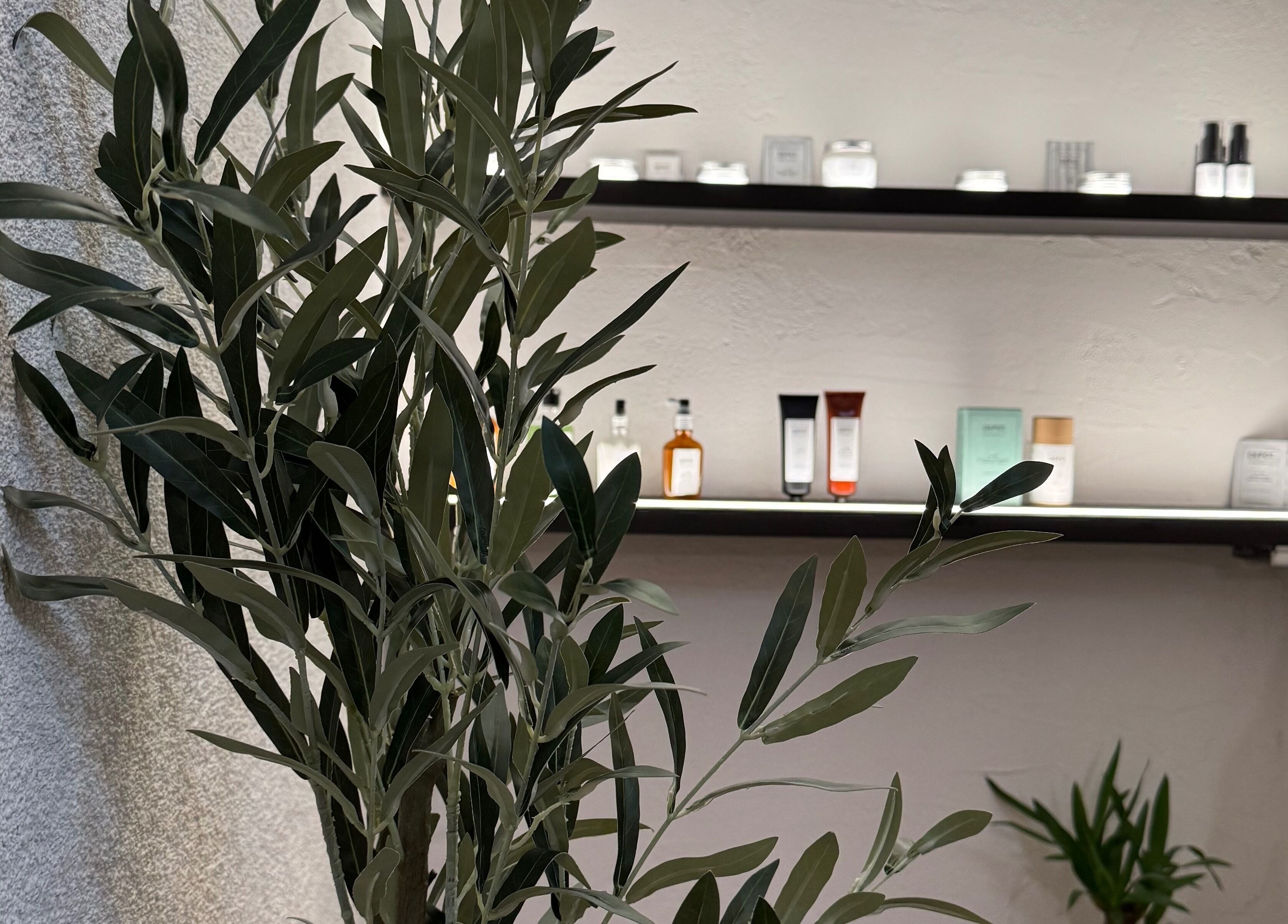 Zelena biljka uz kozmetičke proizvode u BARBIRIJI, Kaštel Stari, Splitsko-dalmatinska Županija, HR.