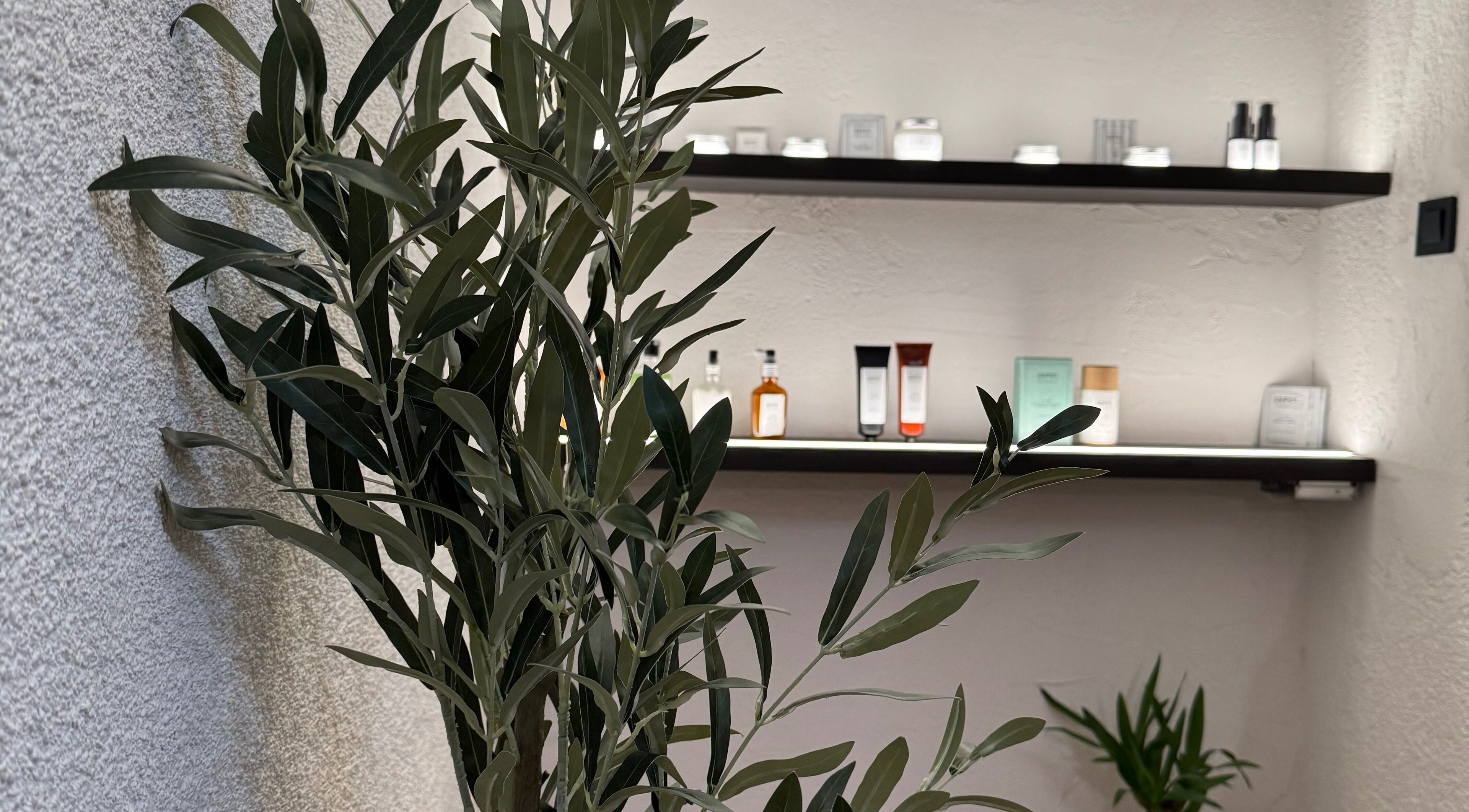 Zelena biljka uz kozmetičke proizvode u BARBIRIJI, Kaštel Stari, Splitsko-dalmatinska Županija, HR.